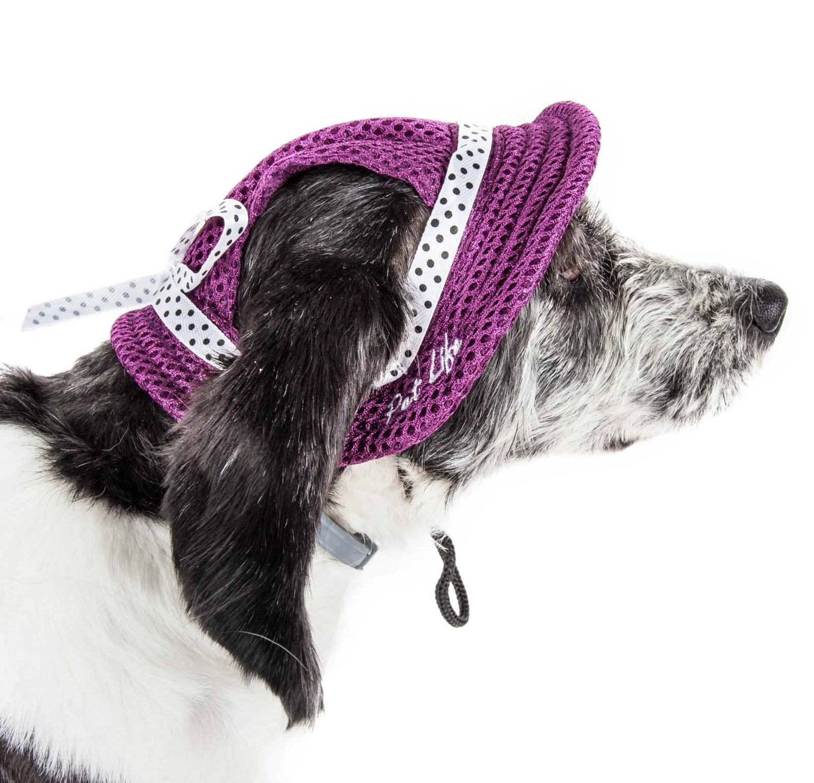Pet Life ® 'Sea Spot Sun' UV Protectant Adjustable Fashion Mesh Brimmed Dog Hat Cap