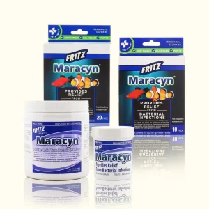 Fritz Maracyn