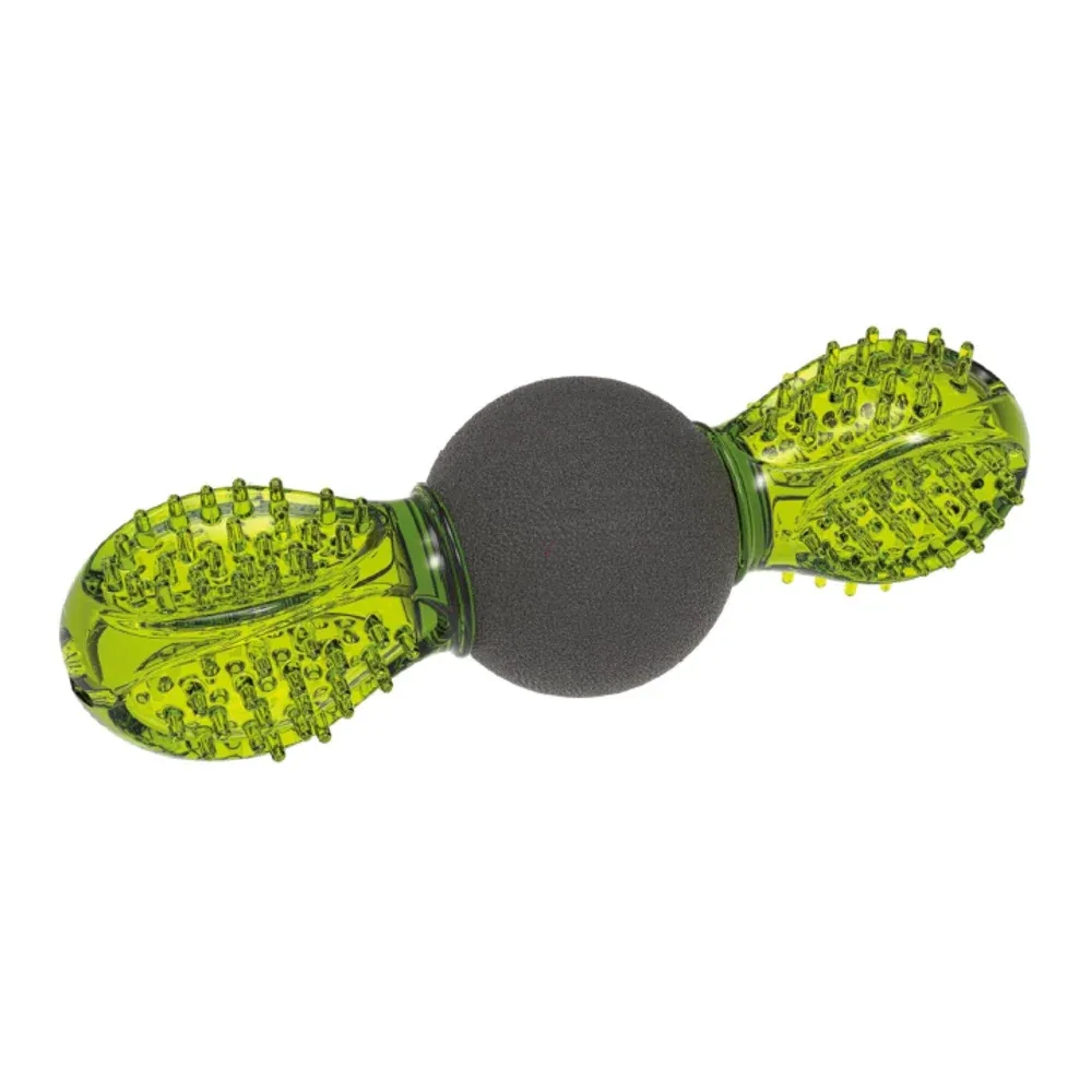 M Pets Uranus Toy for Dogs (Green/Black)