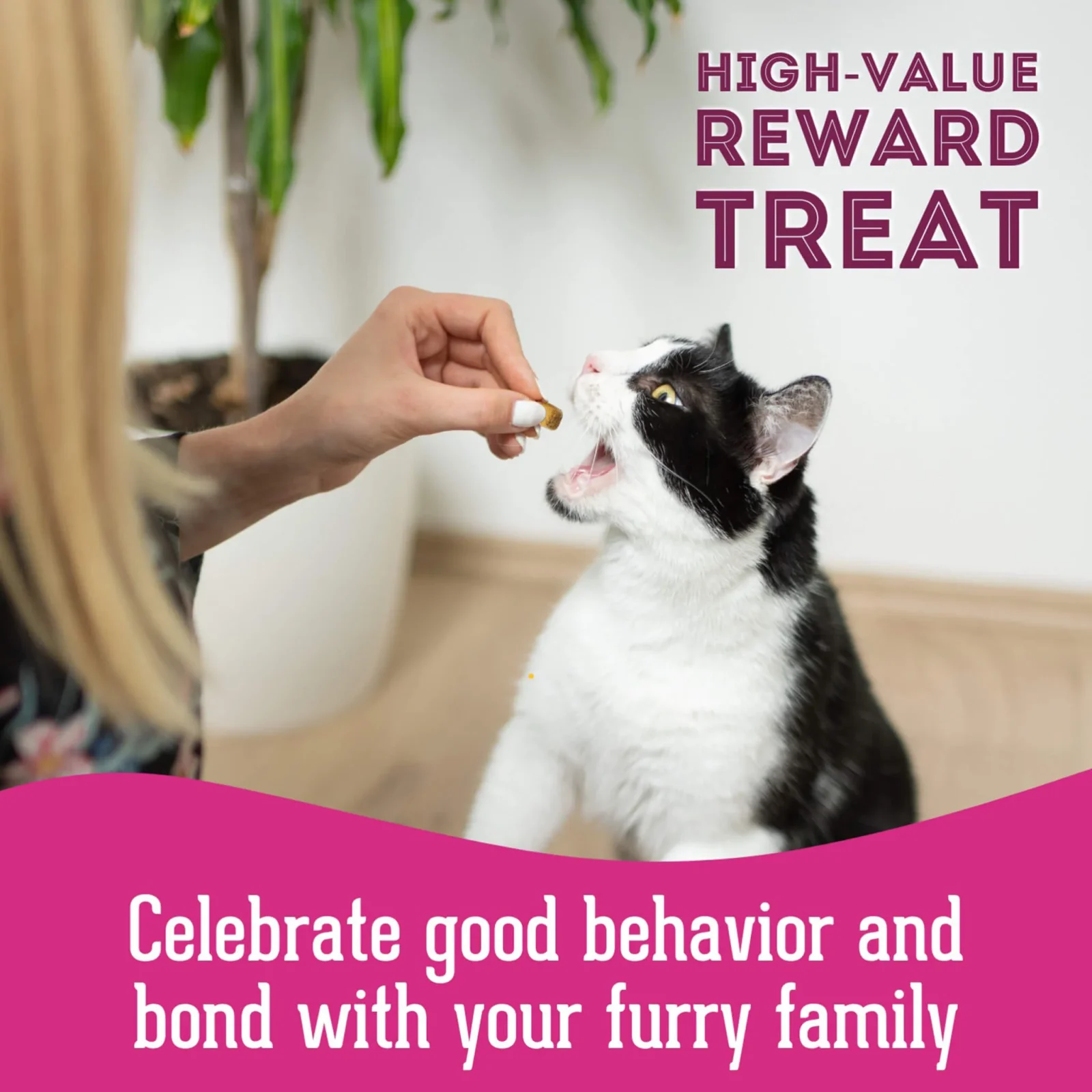 Pet Treatery Premium Freeze Dried Dog Treats - Image 2