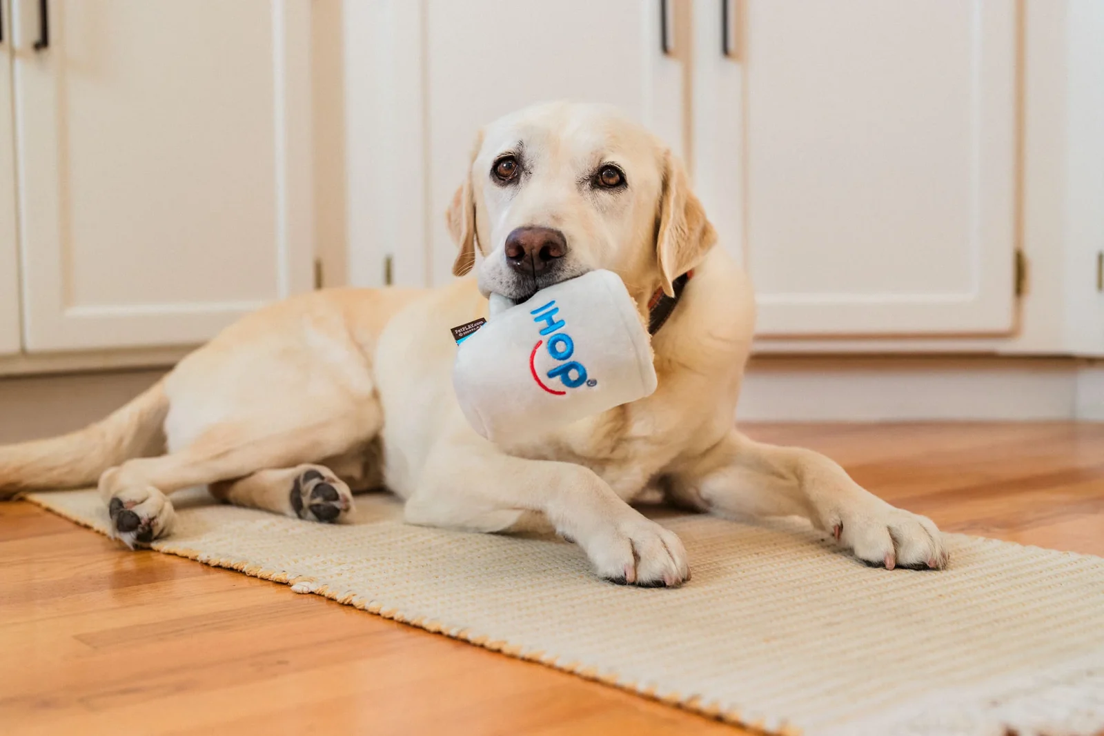 IHOP x Play Barking Bean Brew - Image 2