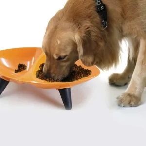 Pet Life ® 'Couture Sculptured' Dishwasher Safe Melamine Food and Water Double Pet Bowl