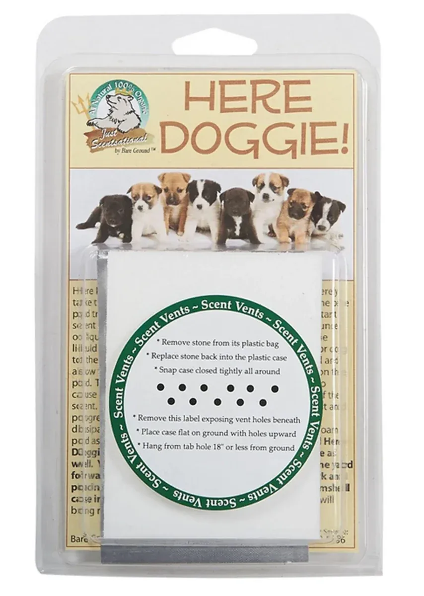 Just Scentsational Here Doggie! Indoor Dog Training Stone - Image 2
