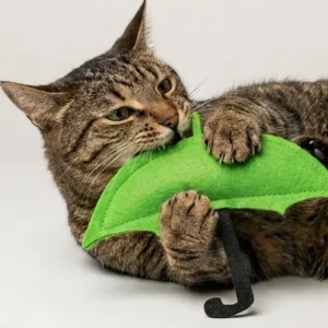 Skatrs Umbrella Toy for Cats and Kittens
