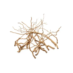Detail Roots (Pack of 20)