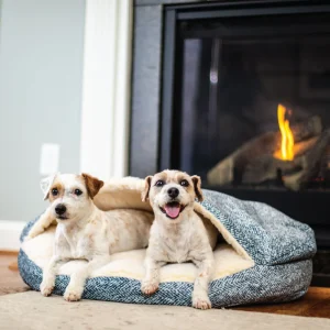 Luxury Cozy Cave® Dog Bed – Show Dog Collection