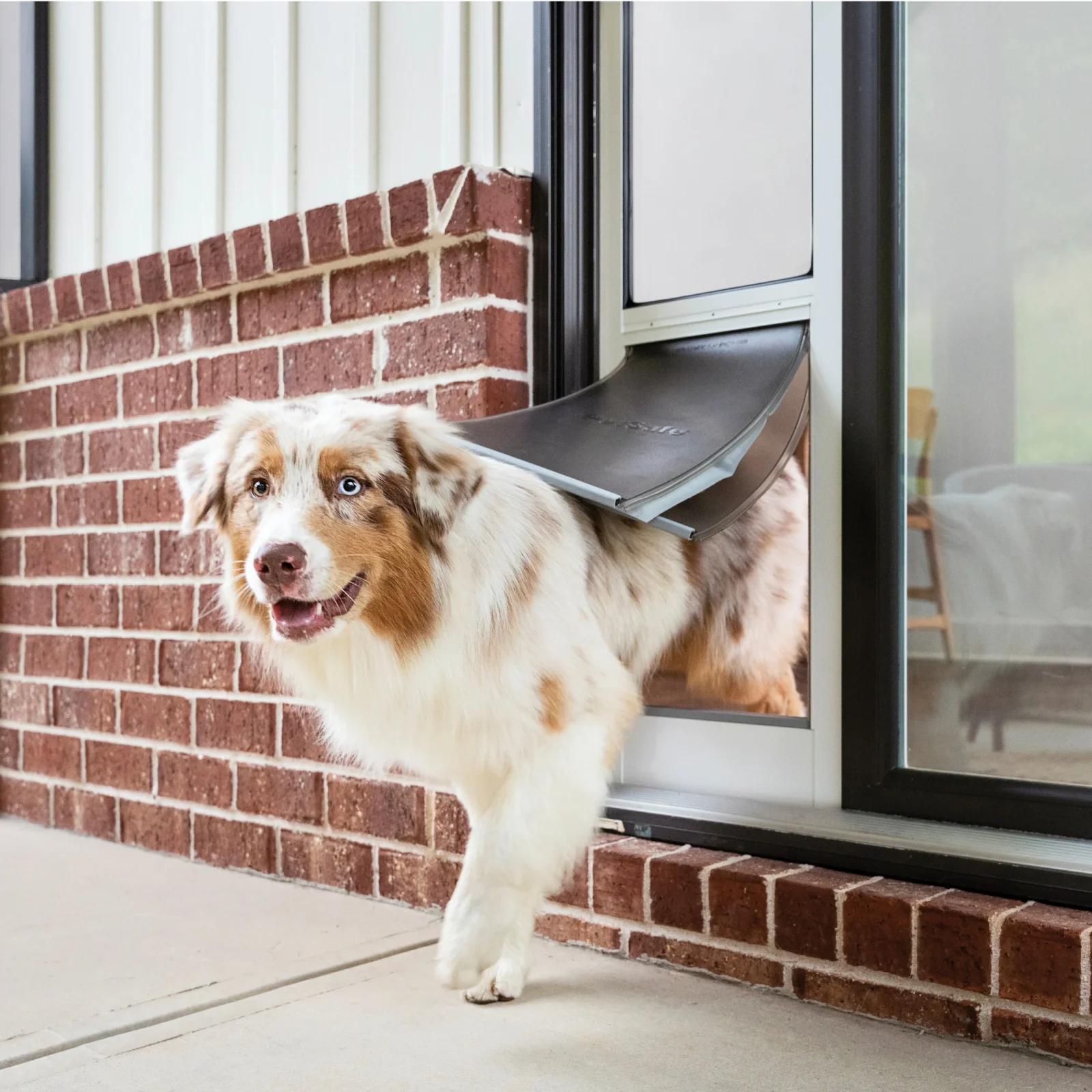 Extreme Weather Sliding Glass Pet Door™ - Image 2