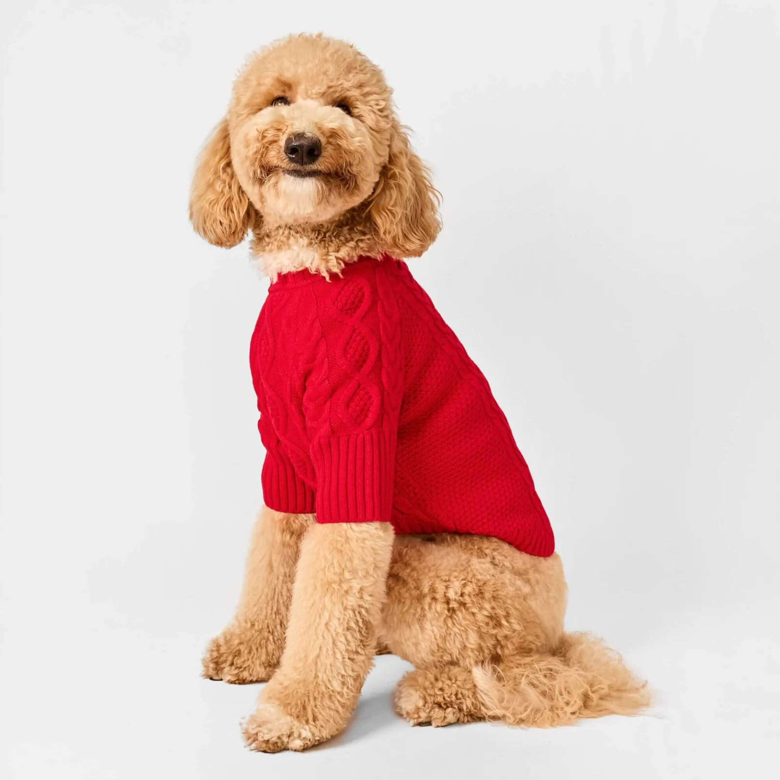 Red Cable Knit Dog Sweater
