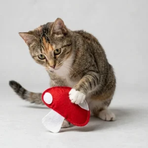 Skatrs Magic Mushroom Toy for Cats and Kittens