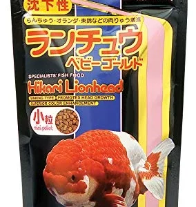 Hikari Lionhead - Mini Pellets - 3.5 oz