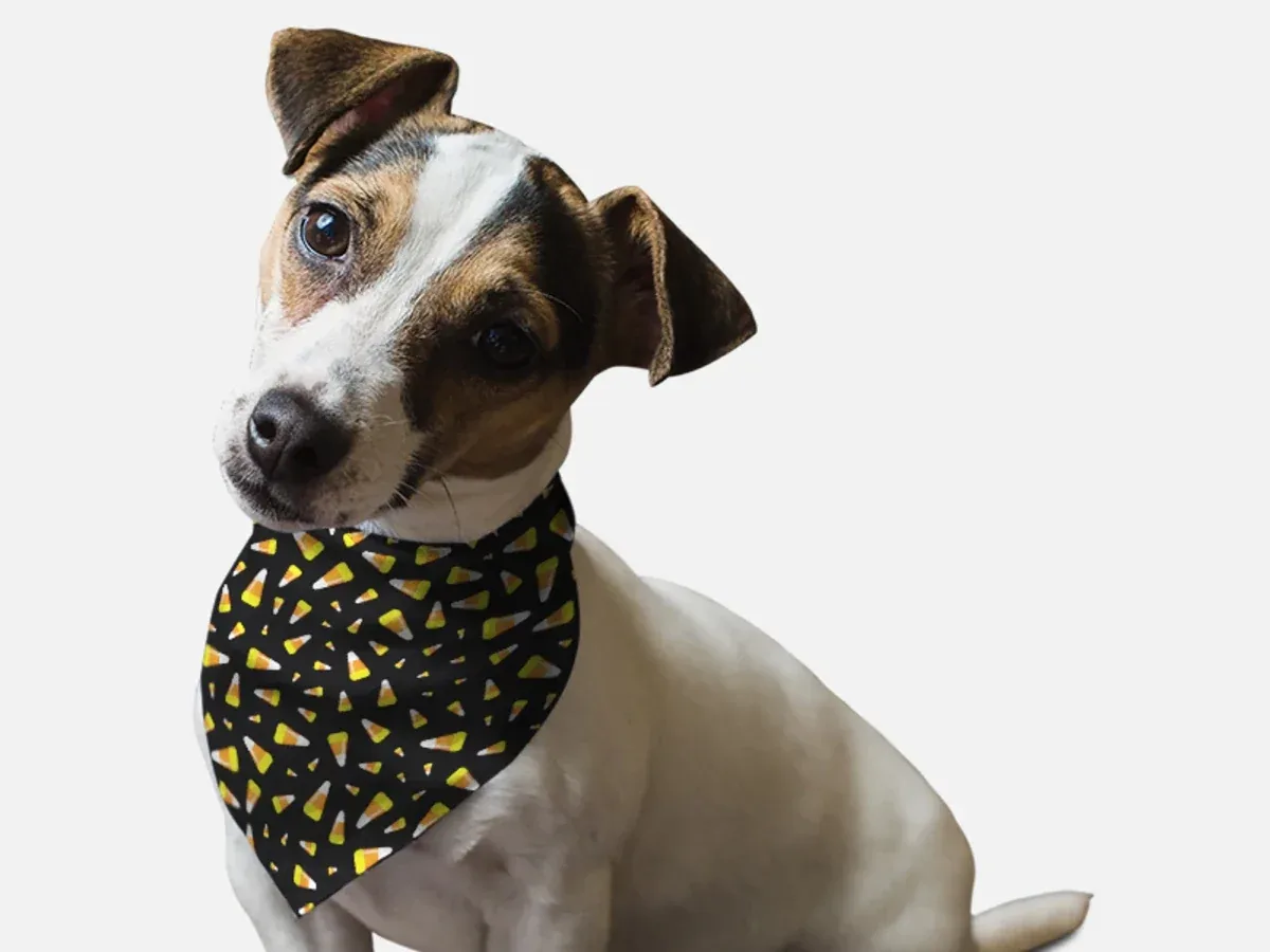 BanDoggie Candy Corn Halloween Dog Bandana - Microfiber, Made in USA