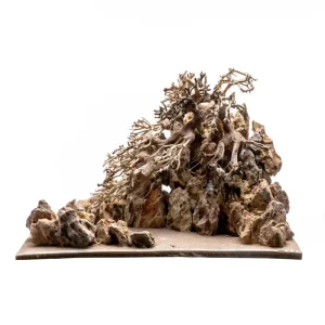 UNS Strata Pro Type 4