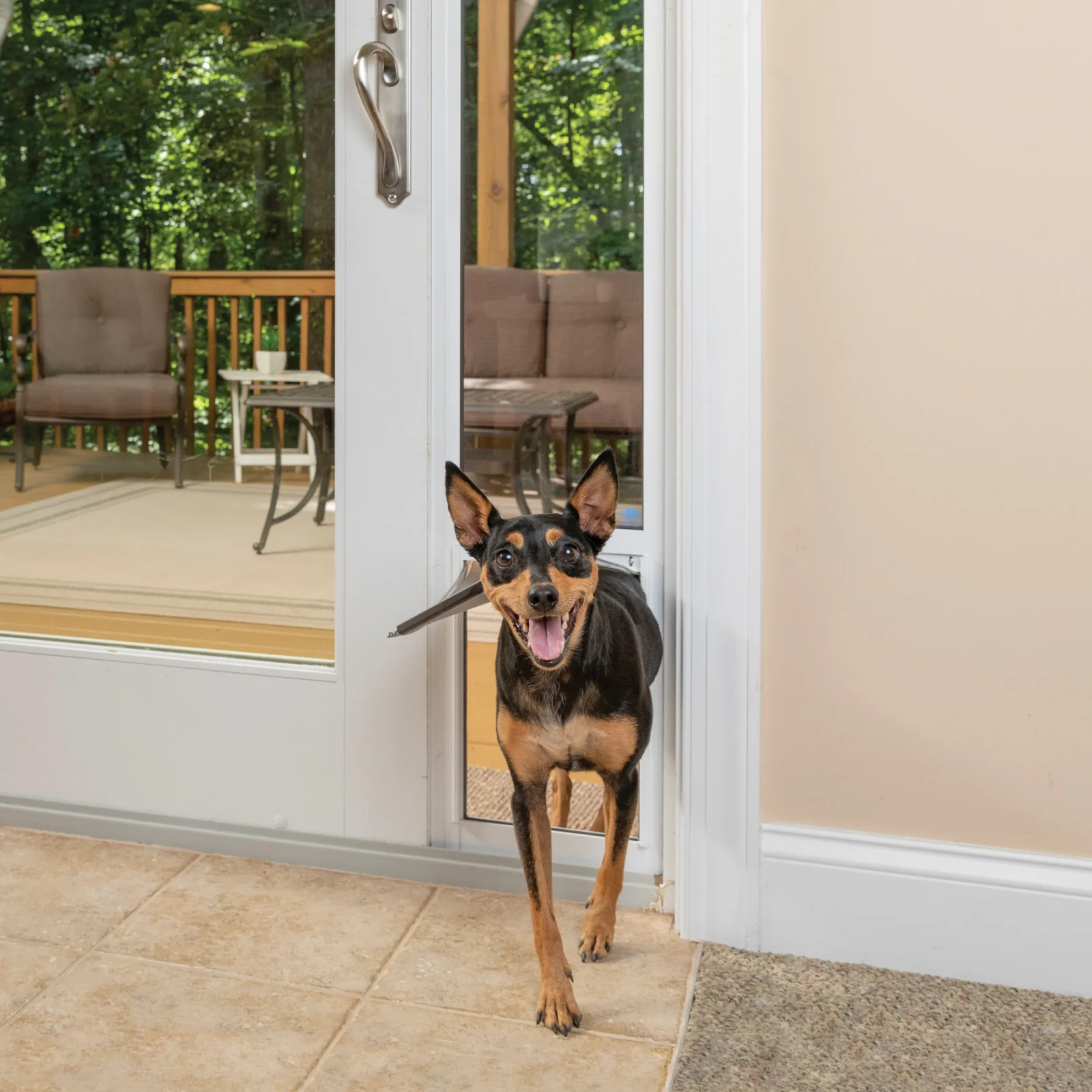 Pet Door for Sliding Glass Door, 1 piece - 81 in - Image 2