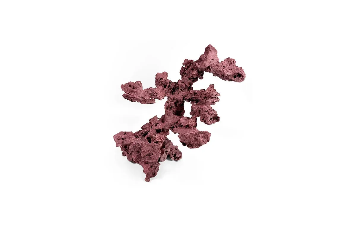 Reef Rock Showpiece (RRS025) - Image 2