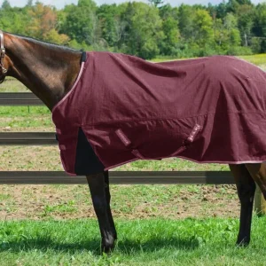 TuffRider Bonum 1200D Ripstop Turnout Sheet with Standard Neck - Maroon - 72