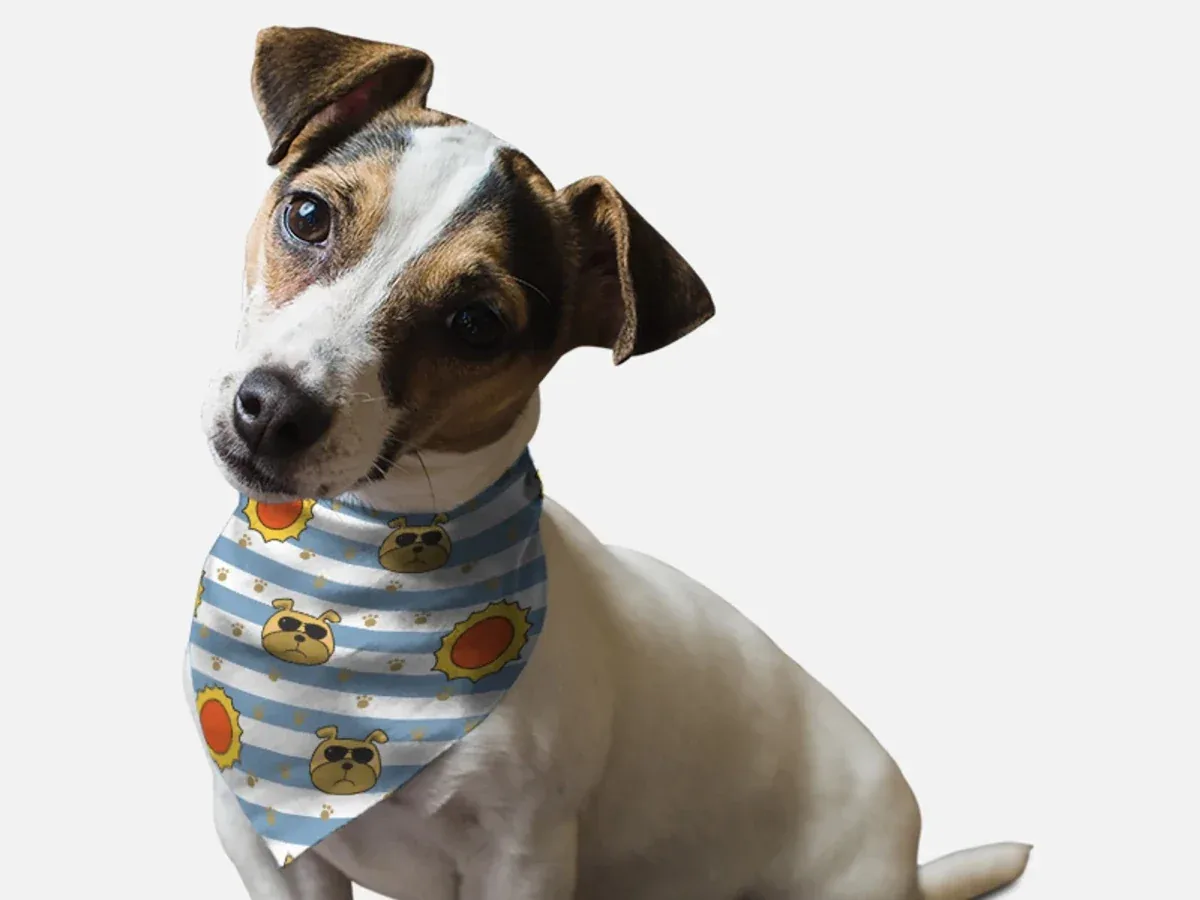 BanDoggie Hot Dogs Summer Dog Bandana - Soft Microfiber, Made in USA - Image 2