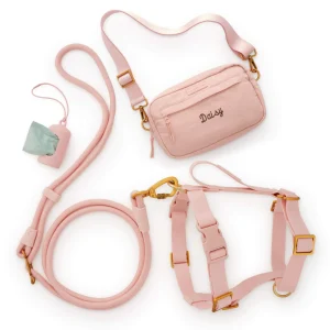 Active Adventure Harness Walk Set - With Handle (M/L), Shell