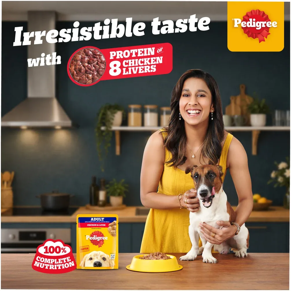 Pedigree Chicken and Liver Chunks in Gravy Adult Dog Wet Food (70g) - Image 2