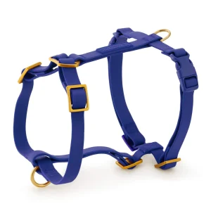 Active Flex Dog Harness (XS/S), Azure