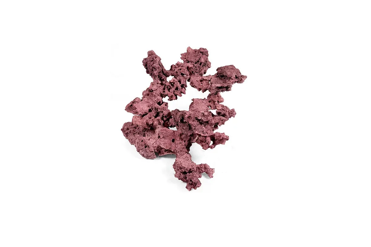 Reef Rock Showpiece (RRS024) - Image 2
