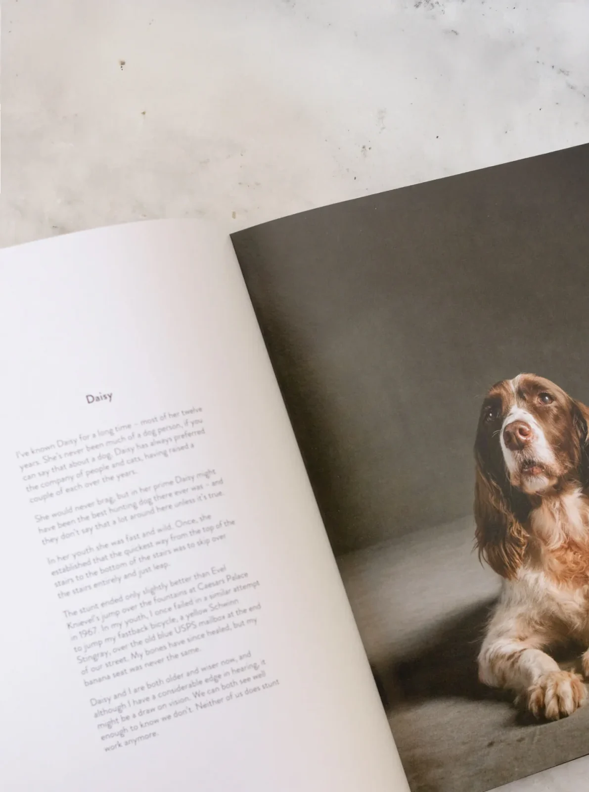 YEAR OF THE DOGS BOOK - Image 2