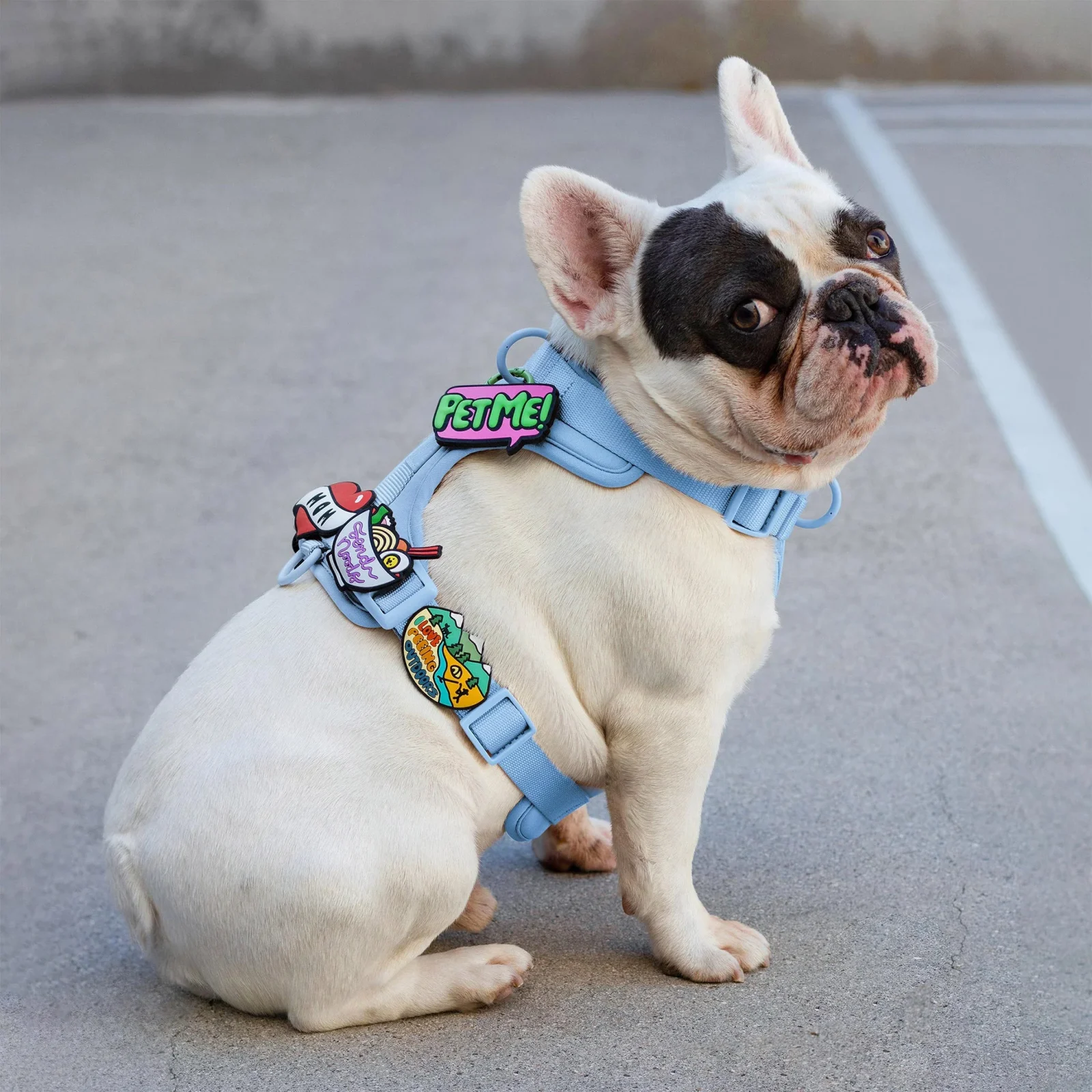 Peeing Outdoors Jiby Dog Charm - Image 2