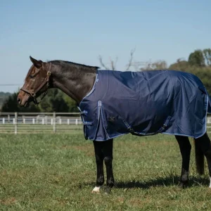 TuffRider Comfy Fit Waterproof Winter Horse Blanket, Medium Weight, 200 GSM, 69 in, Navy