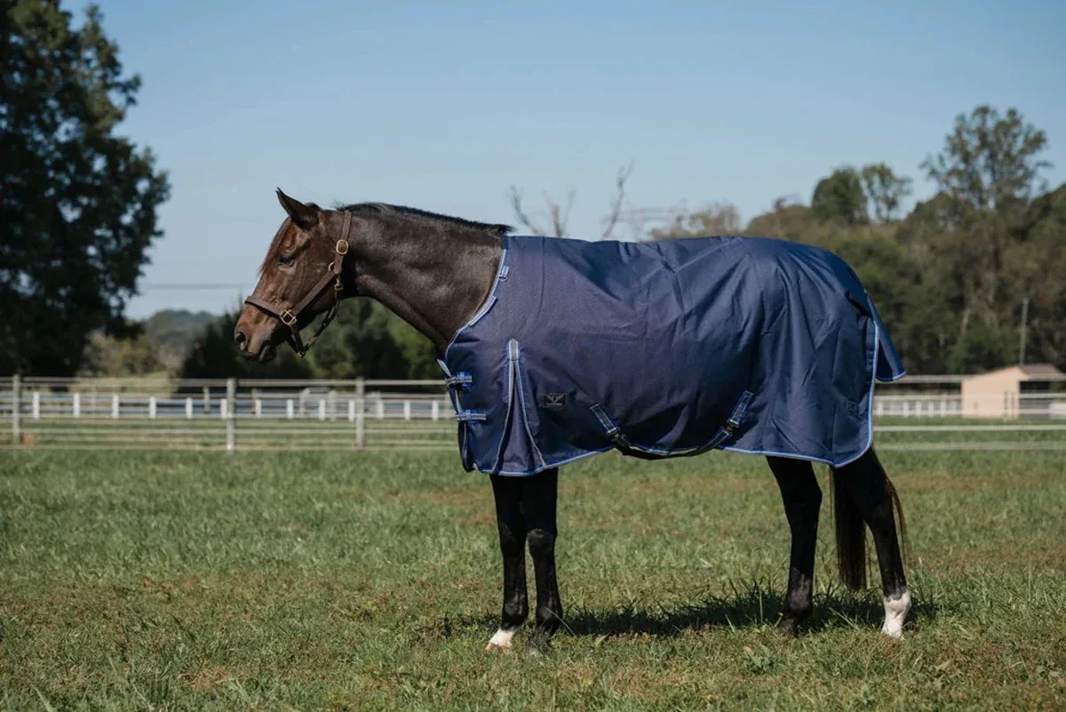 TuffRider Comfy Fit Waterproof Winter Horse Blanket, Medium Weight, 200 GSM, 69 in, Navy
