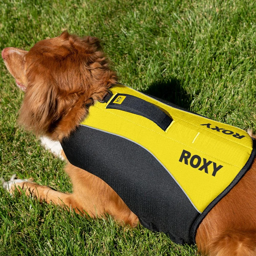 K9 Adventure™ Dog Life Jacket - Image 2