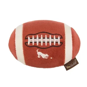 Back to School Fido's Football