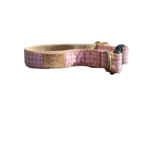 Pink Gingham Collar