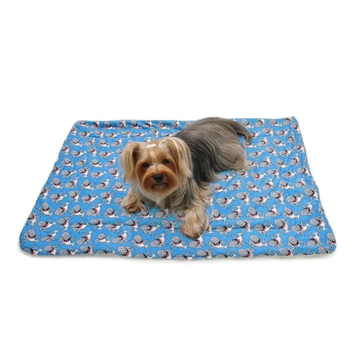 Ultra Soft Minky/Plush Silly Sharks Blanket - Image 2