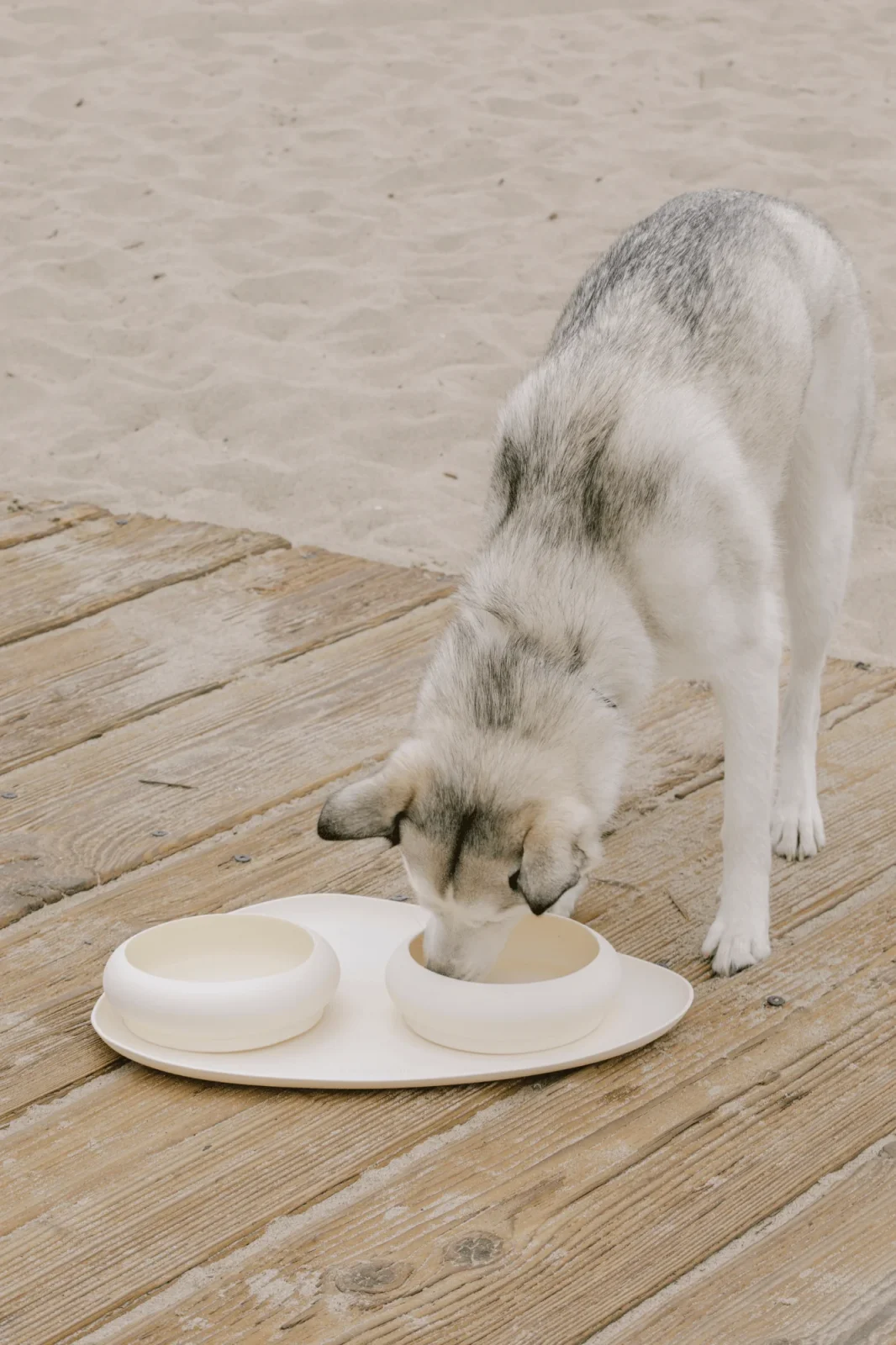 Bubble Bowl - Image 2