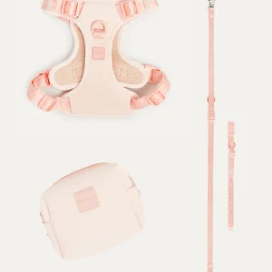 Mini Go! With Ease Bundle