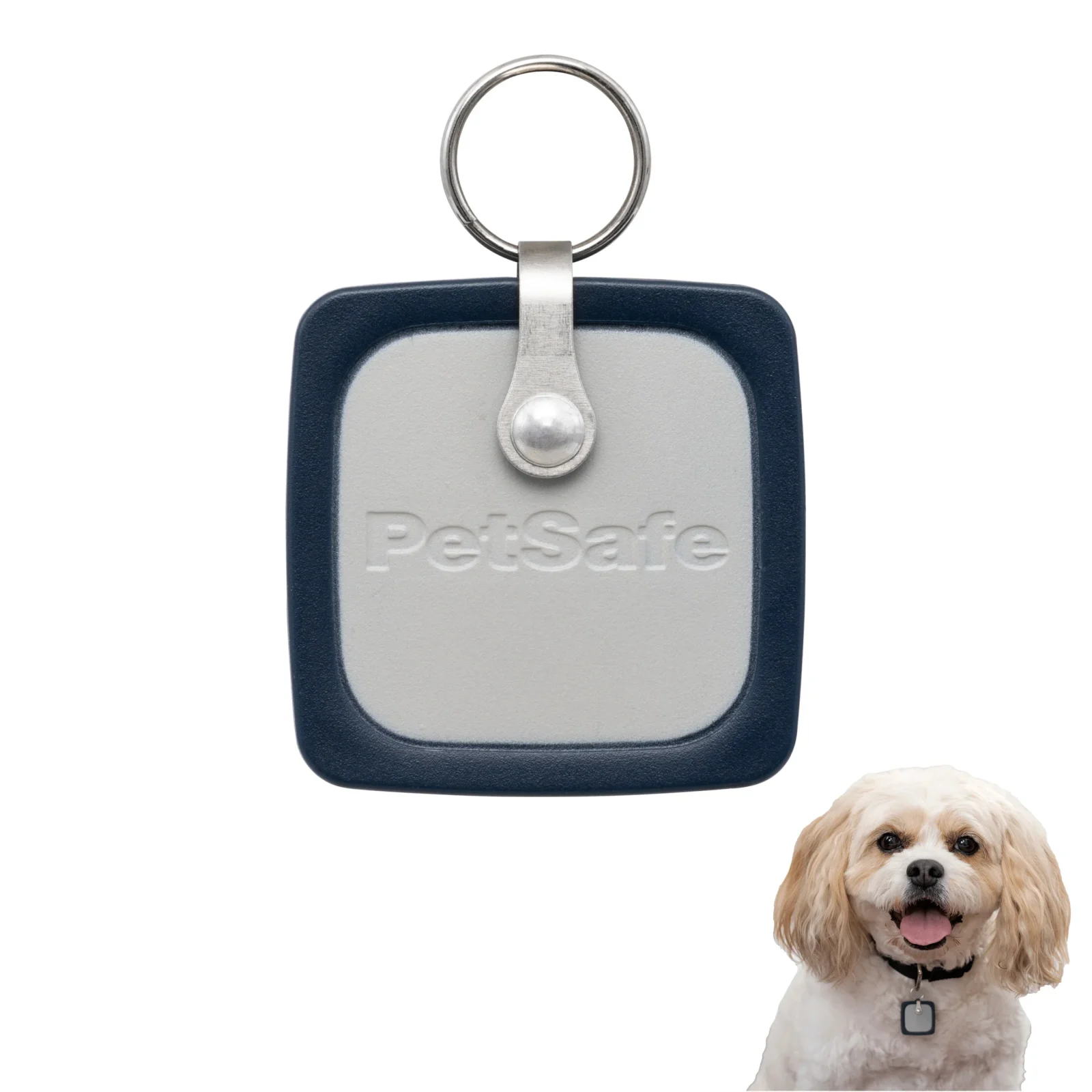 Pet Door Collar Key - SmartDoor™ Connected Door - Image 2