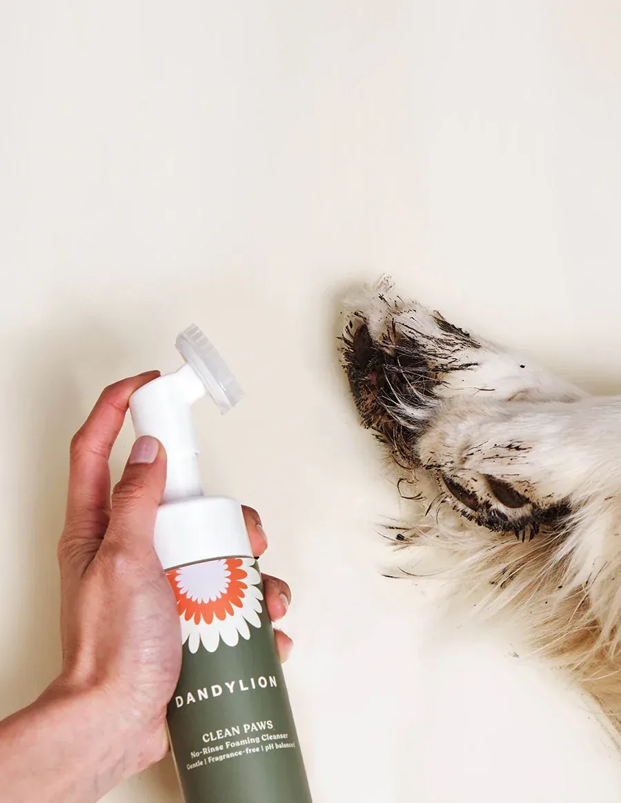 Clean Paws No-Rinse Foaming Cleanser - Image 2