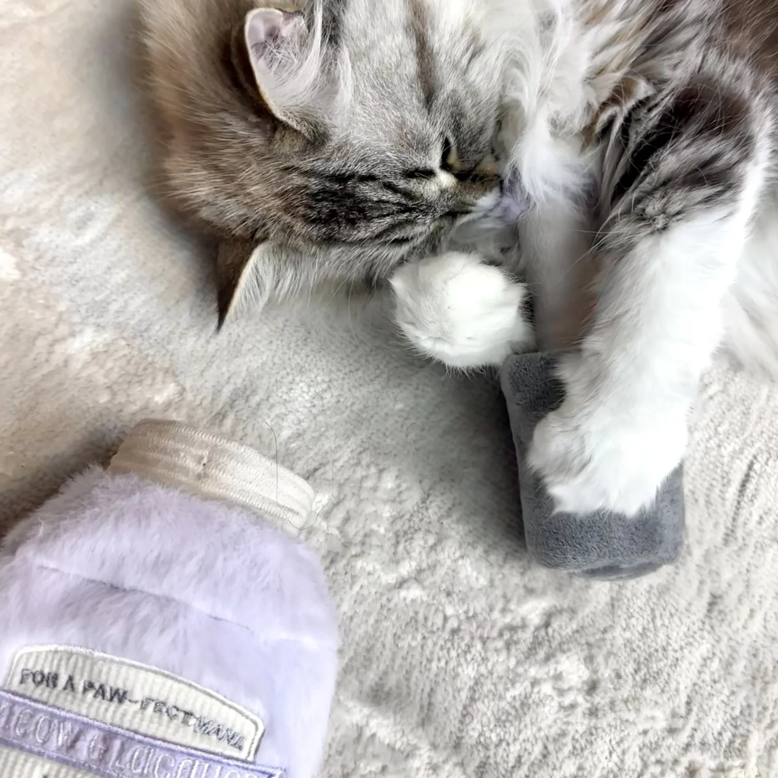 KITTY NAIL POLISHER - Image 2