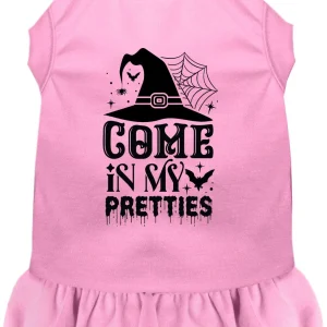 Come In My Pretties Witch Halloween Pet Dress