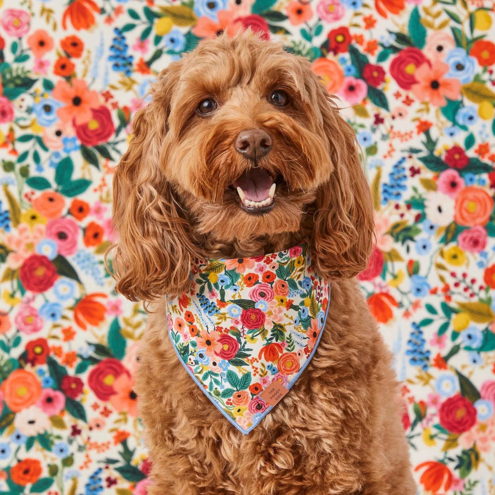 Garden Party Dog Bandana - Image 2