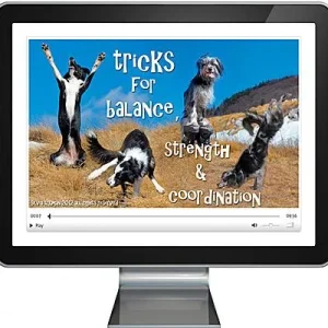 Clean Run Tricks for Balance, Strength & Coordination
