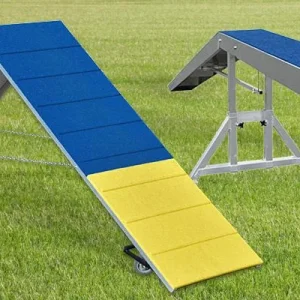 Clean Run CONTACT BUNDLE 2: Clip and Go A-frame & Dogwalk