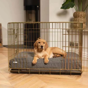 Gold Dog Crate with Cushion in Bouclé by Lords & Labradors