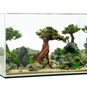 Bonsai Driftwood Scape Starter Kit