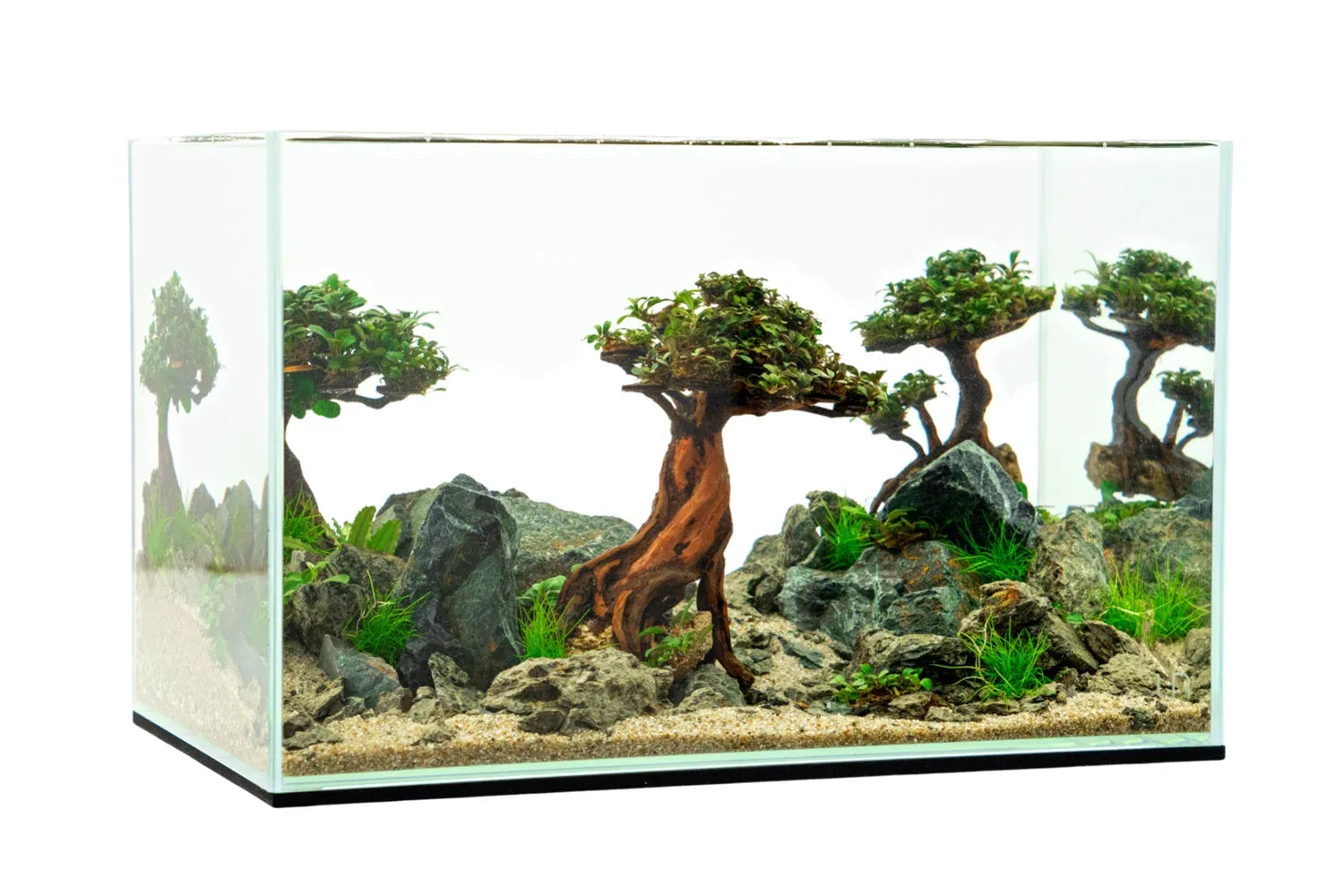 Bonsai Driftwood Scape Starter Kit