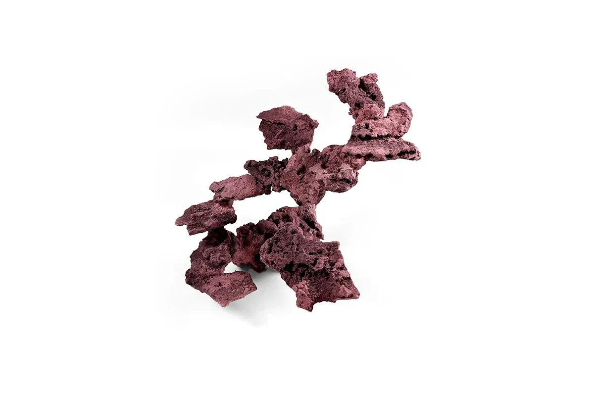 Reef Rock Showpiece (RRS017) - Image 2
