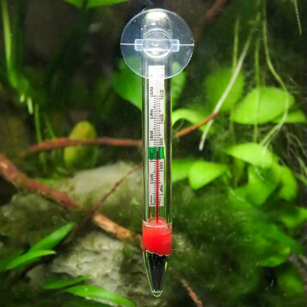 Floating Glass Thermometer - Image 2