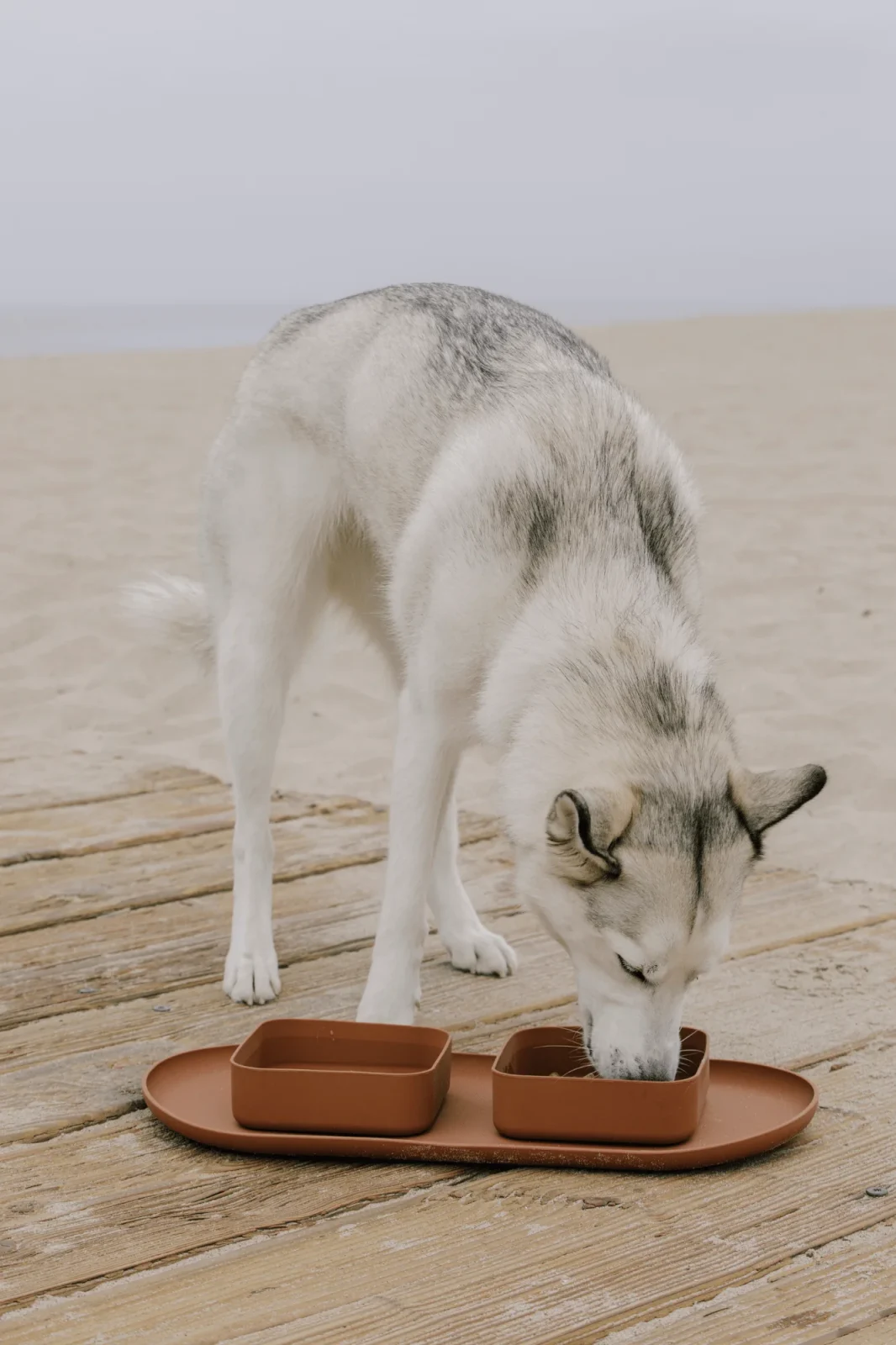 Square Bowl - Image 2