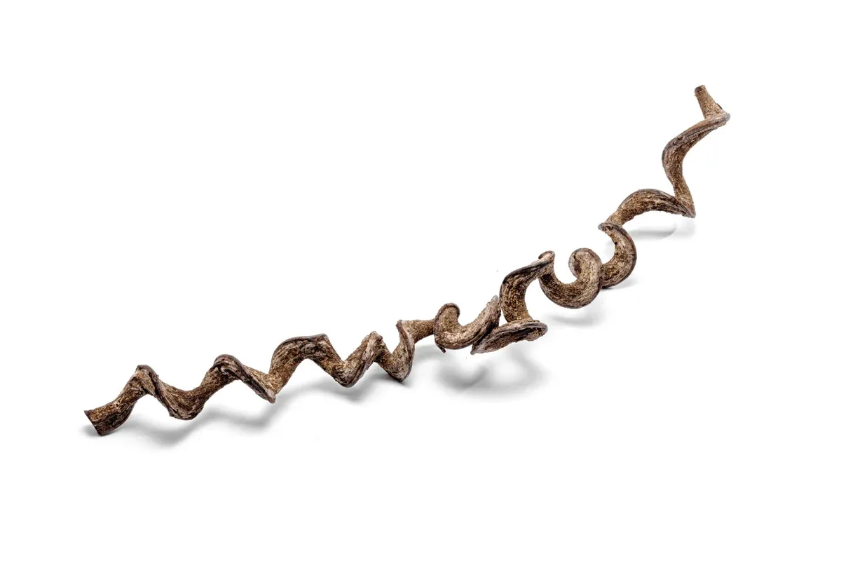 Jungle Vine Wood