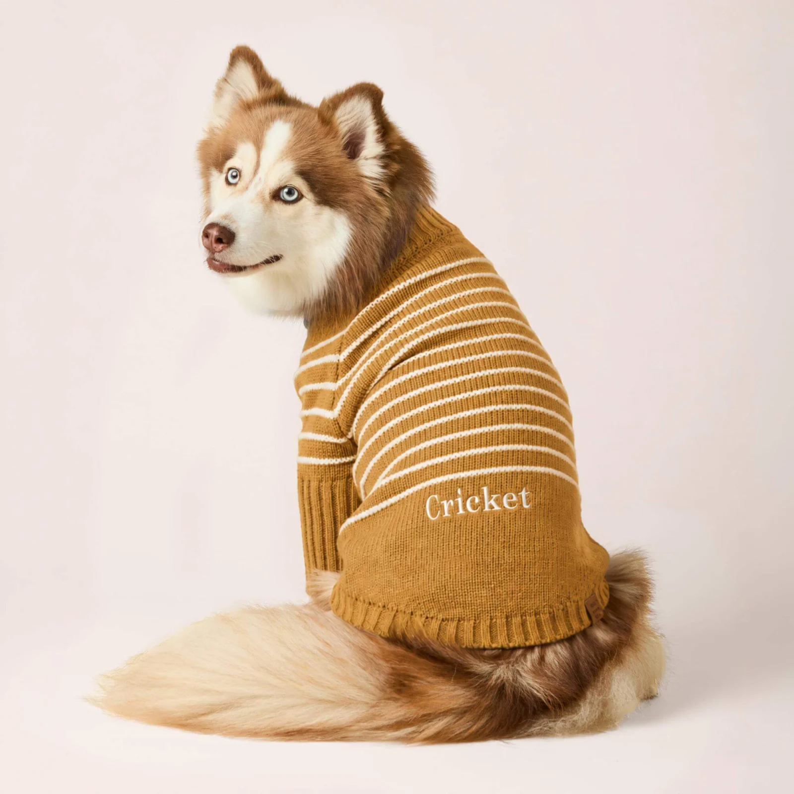 Mustard Stripe Quarter-Zip Dog Sweater - Image 2