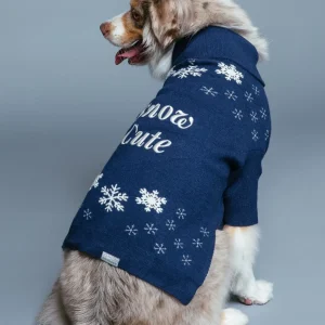 Snow Cute Jumper